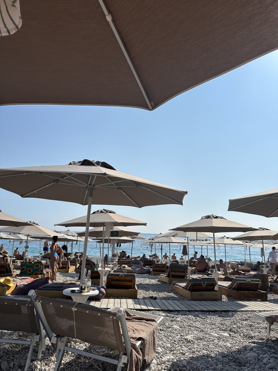 FS7 🌴 tweet media