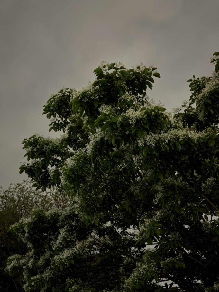 T͙a͙k͙e͙y͙a͙n͙ tweet media