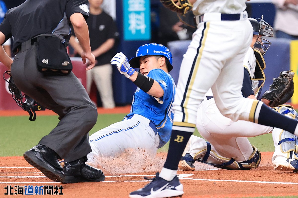 北海道新聞写真映像部 tweet media