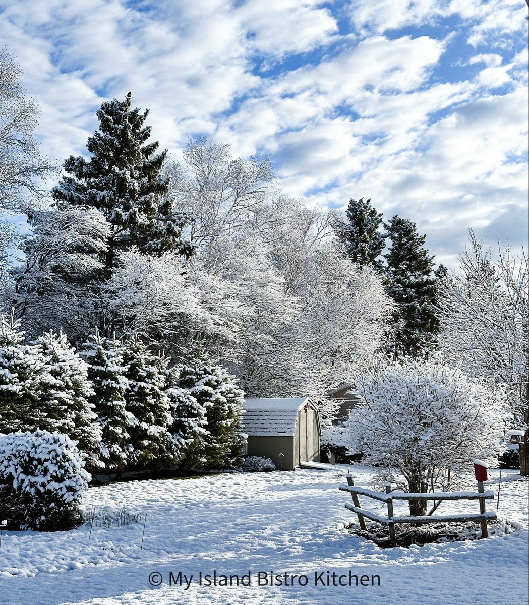 bamayhew's tweet image. April 24/26 #pei @GrayMarker99 - did you send some of your recent weather to us???? Or, did Mama Nature go on a bender last night and thought this would be a fun thing to do?
