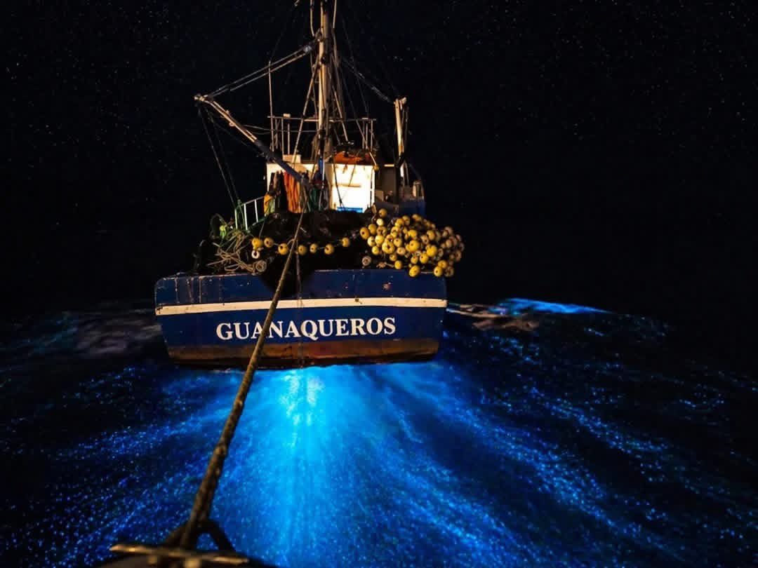 Bomba Guanaqueros (🚒) tweet media