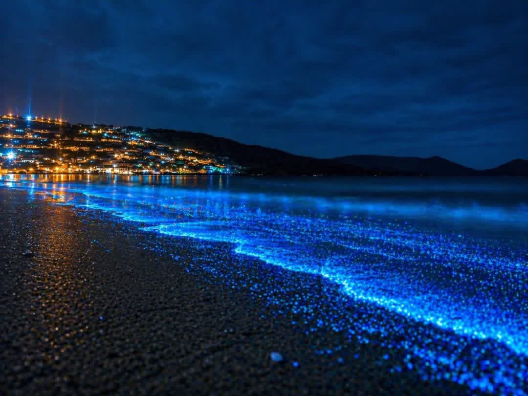 Bomba Guanaqueros (🚒) tweet media