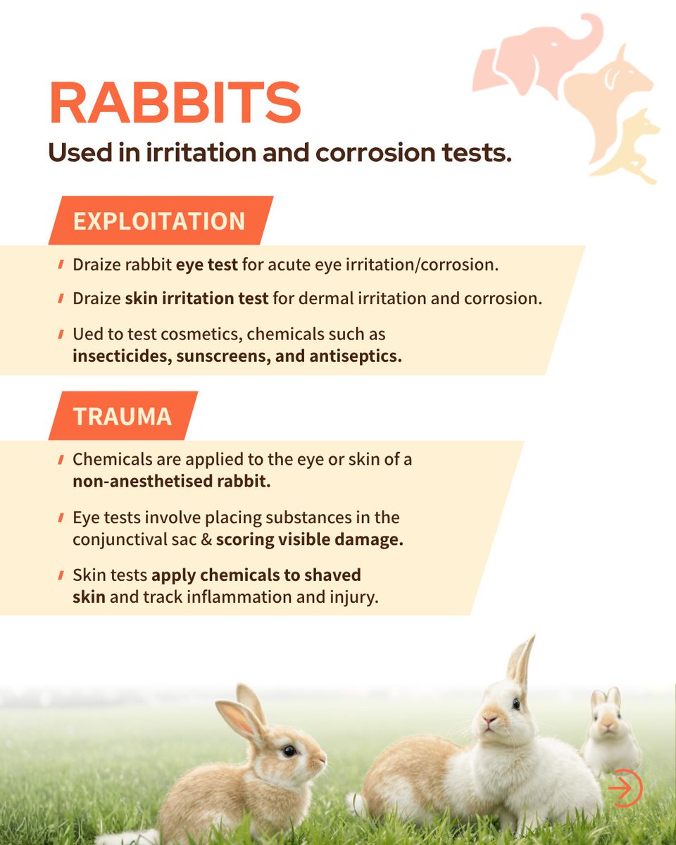 FIAPOIndia's tweet photo. Sentient beings, not lab tools. India is shifting toward non-animal methods like organ-on-chip and AI testing—more humane, more relevant. This #WorldLabAnimalDay, choose cruelty-free and support change.

#EndAnimalTesting #NAMs https://t.co/c45YCJYrns