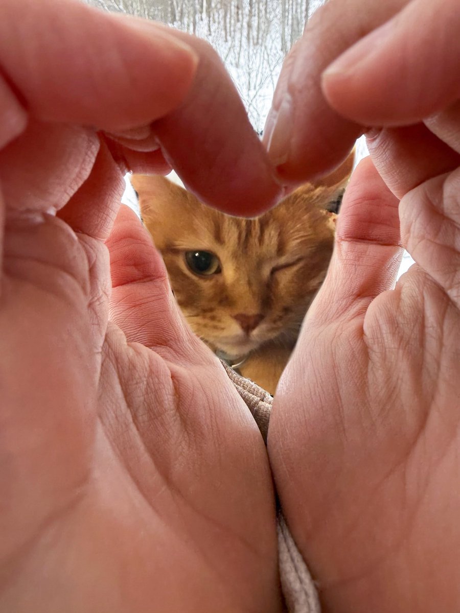 darling, i tweet media