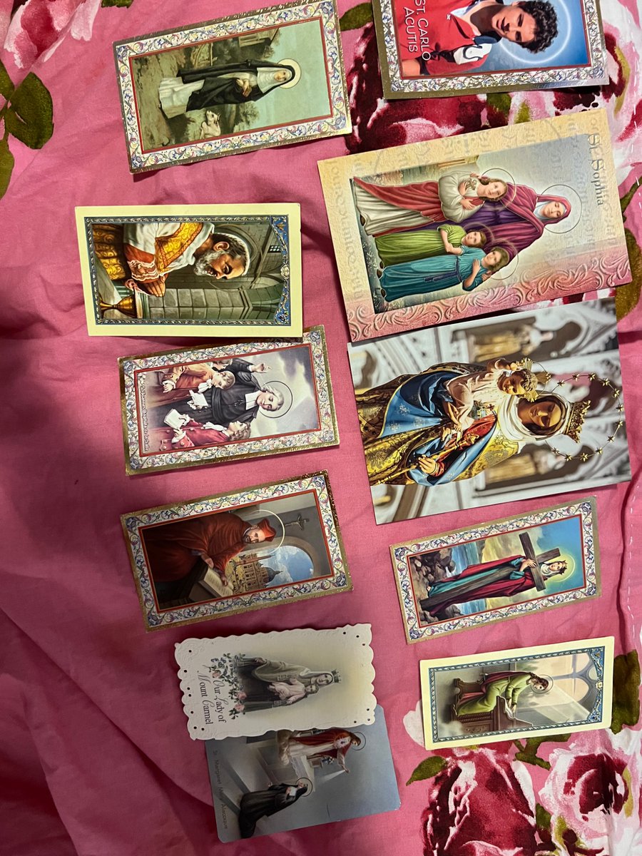 junran🪽 tweet media