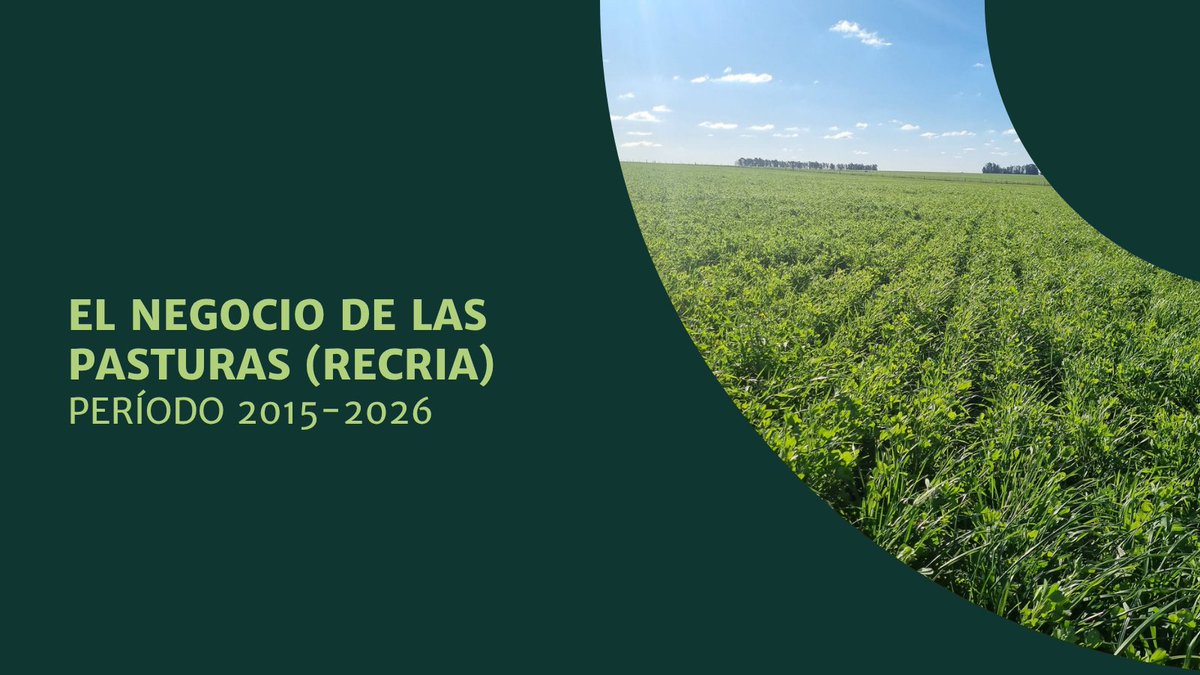 ApeoAgro's tweet photo. ☘️Ahora es el turno de las pasturas y les vamos a compartir indicadores del negocio de recría en pasturas intensivas de productividad media (IC120) para el periodo 2015-2026 considerando el resultado operativo y obtenido por tenencia de tierra y hacienda. (1/8) https://t.co/WU5oZJI8mY