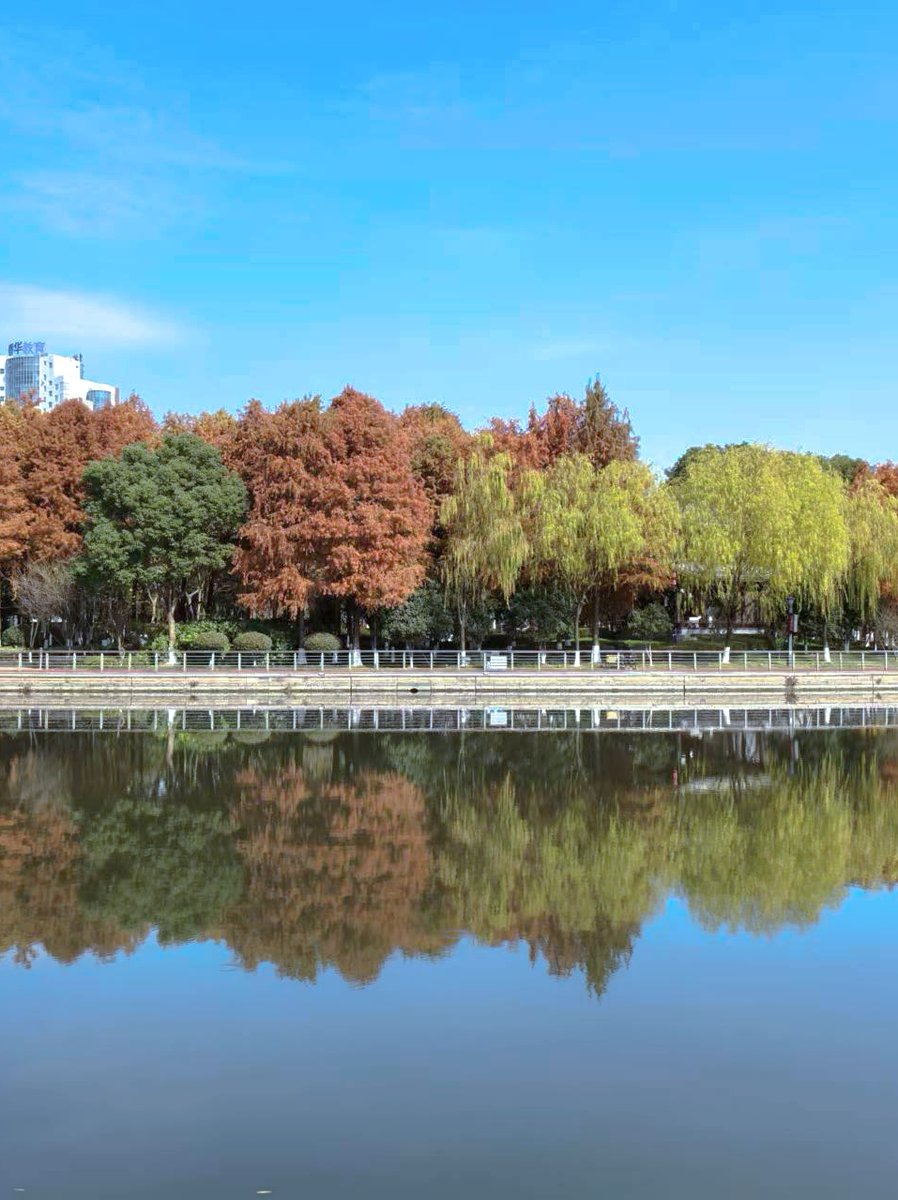 Shevchenko tweet media