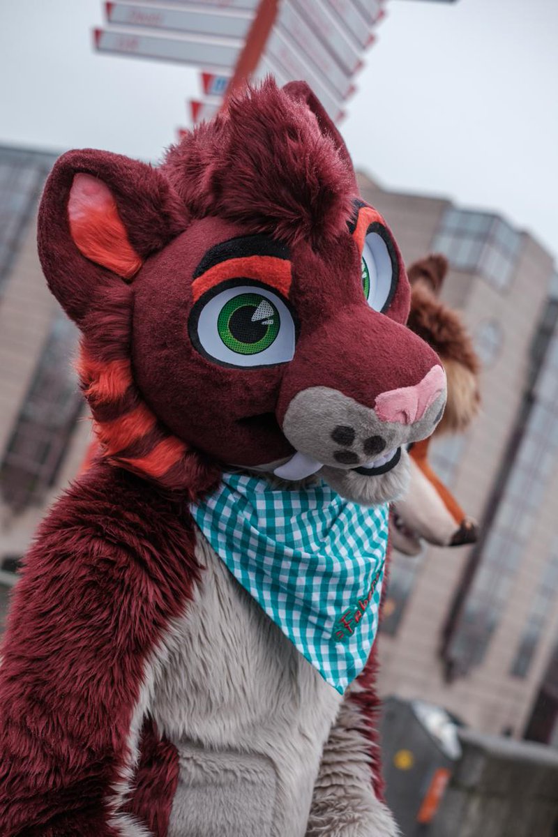 Foxy Woxy tweet media
