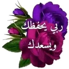 شاعر الغلابه tweet media