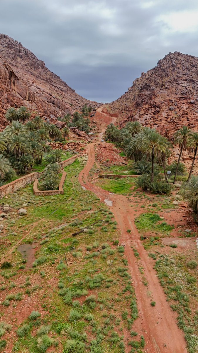 بلدية محافظة الشنان tweet media