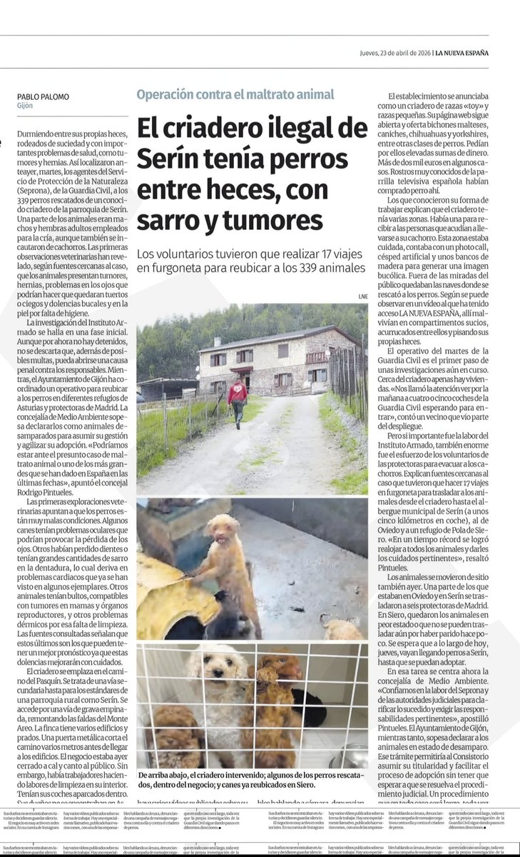 🇪🇸🐗🦌🐂🇪🇸 tweet media
