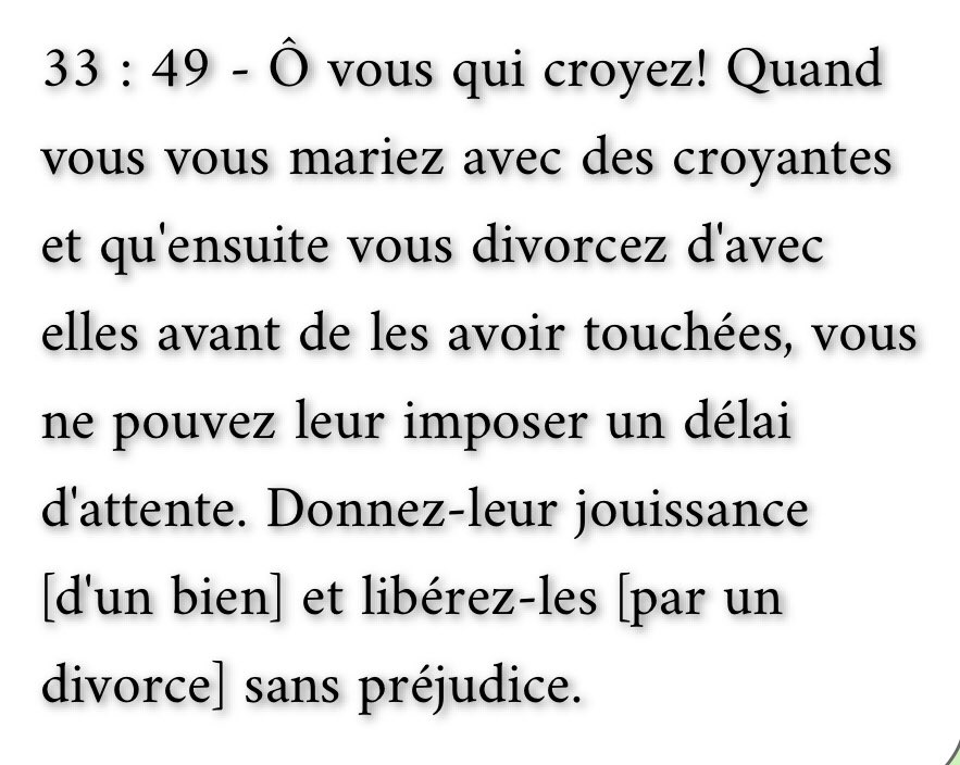 Eli II 🏴‍☠️ tweet media