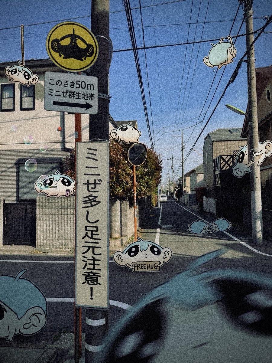 ミニぜ tweet media