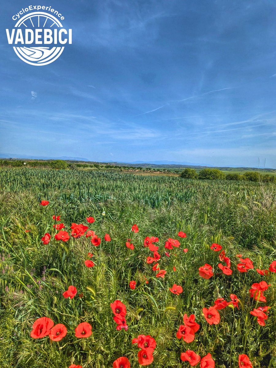 VADEBICI tweet media