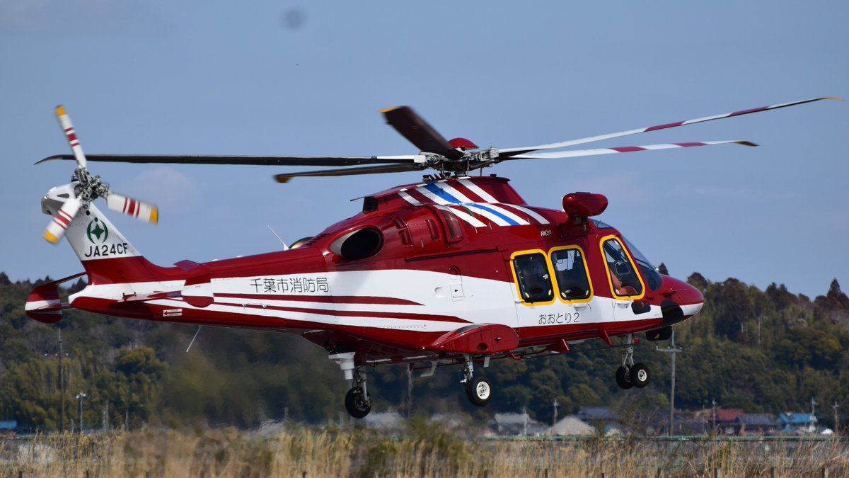 ゆうちゃん tweet media