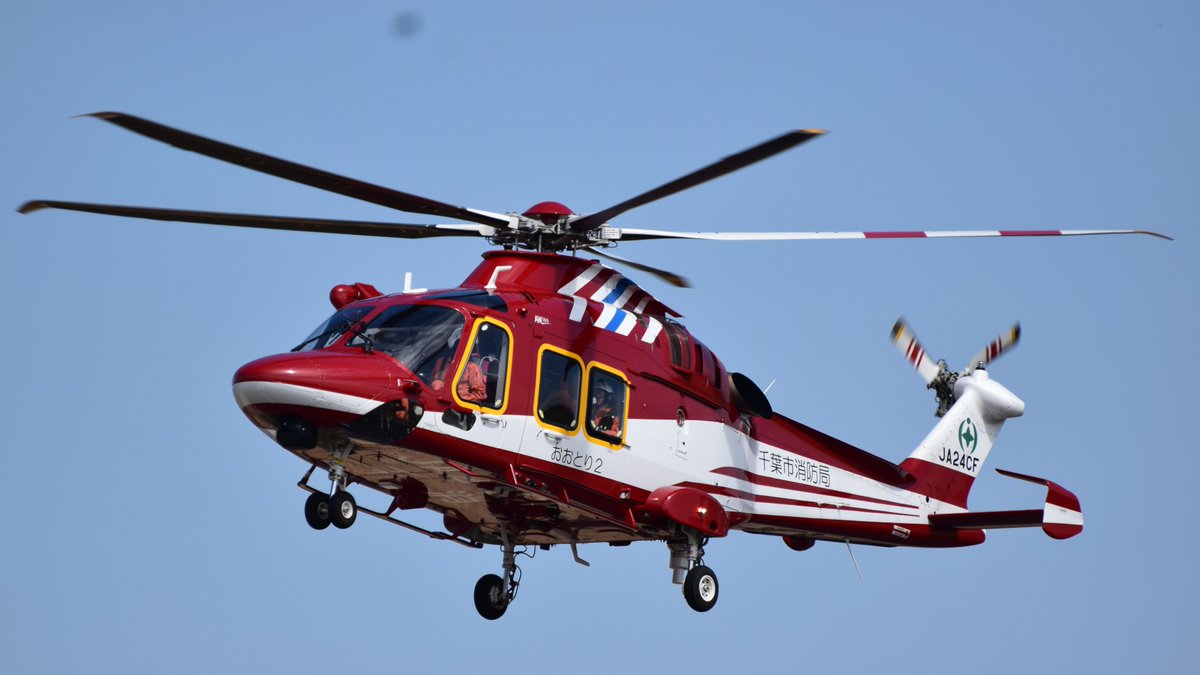 ゆうちゃん tweet media