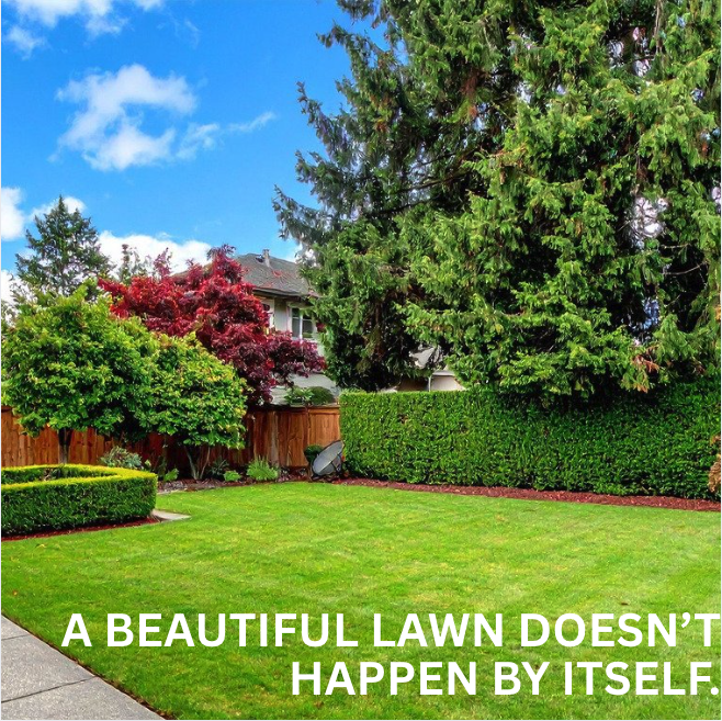 CustomTurfServ's tweet photo. Describe what your lawn looks like right now and we'll tell you what's likely causing it and when it needs treatment. 🌱 

Brown patches, thin areas, lack of lush green color, specific weed types. 
Drop a description and we'll give you the diagnosis.  

#LawnCare #WeedControl https://t.co/RWR0tKUzIx
