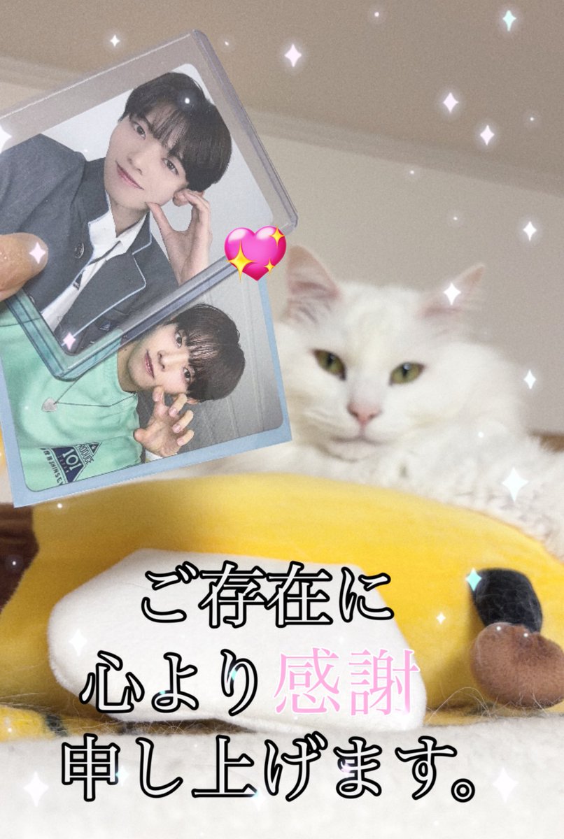 ねねちゃん🐰🏹🩵 tweet media