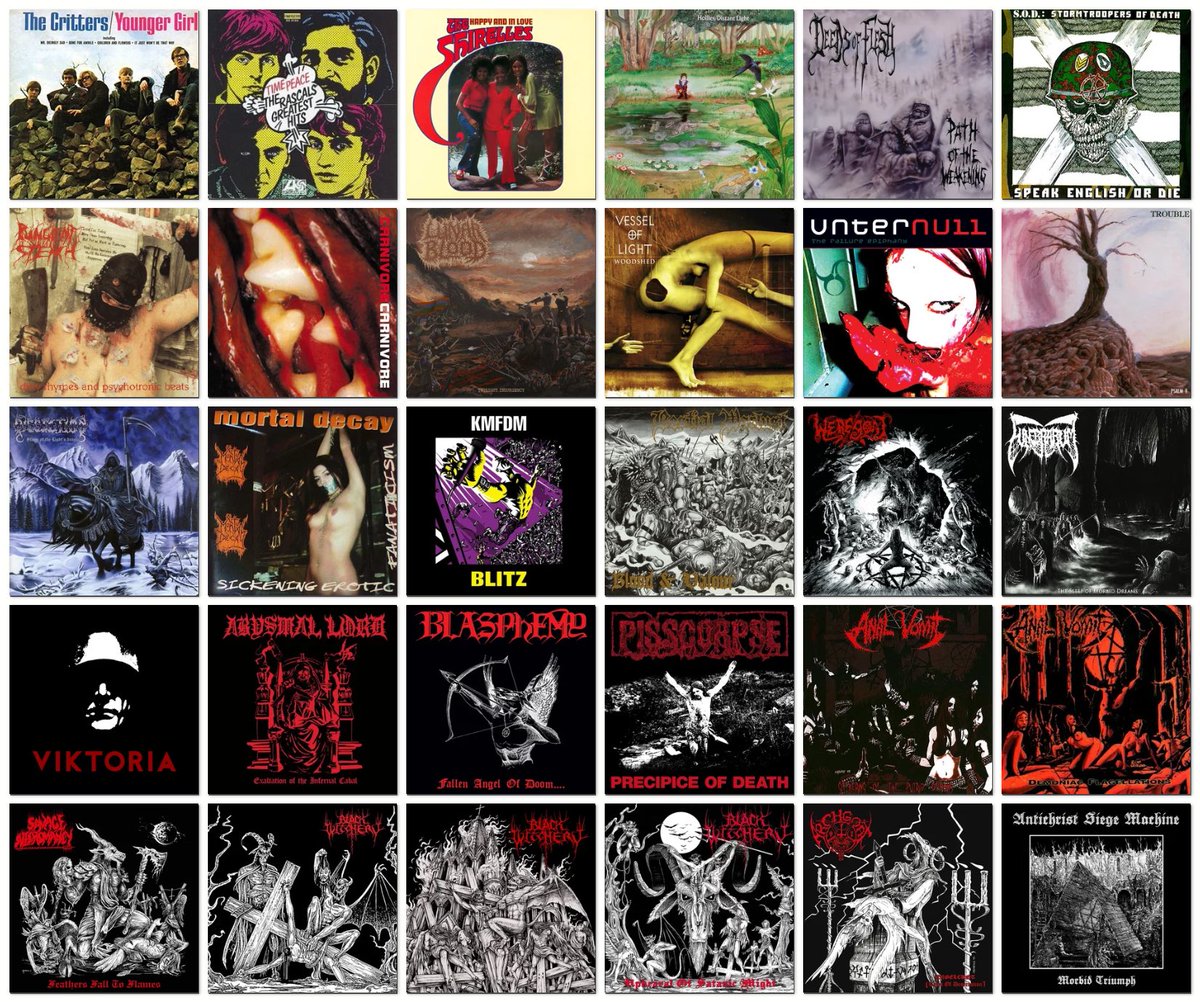 dori winstead tweet media