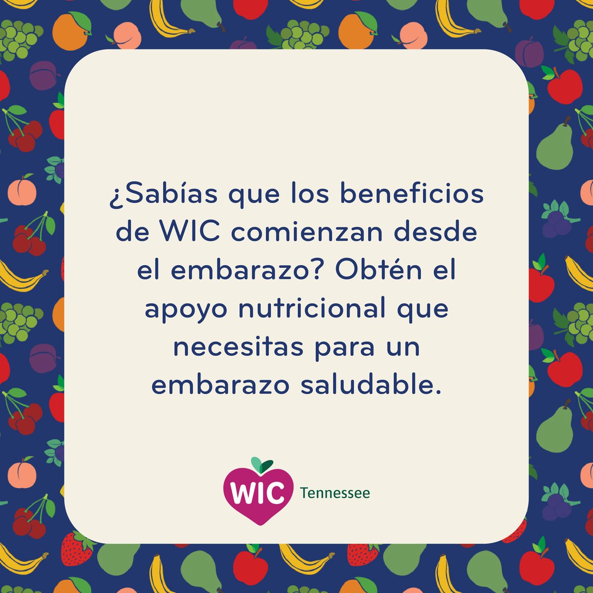TNDeptofHealth's tweet image. Inscríbete temprano. tn.gov/health/wic.html

#TNWIC #WIC #FamiliaSaludable