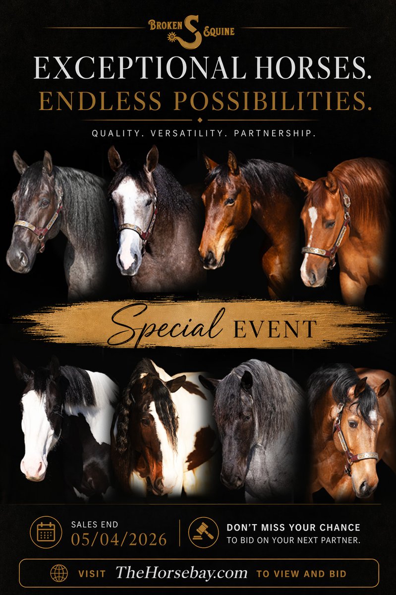 thehorsebay's tweet image. Visit Thehorsebay.com and place your bid today!!! 
#horse #horseforsale #quarterhorse #ranchhorse #horses #Trailhorses