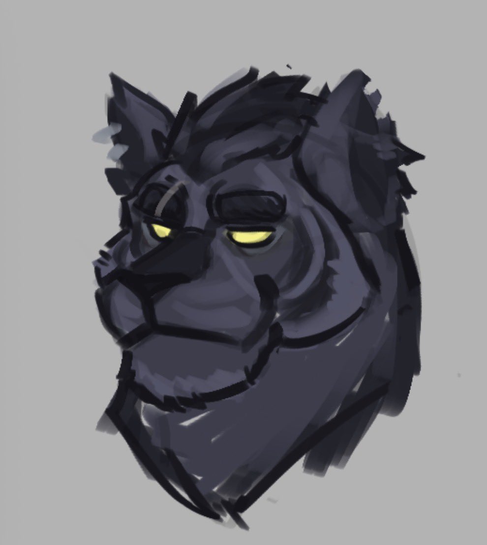 SleepySad狼猫🌙💤 tweet media