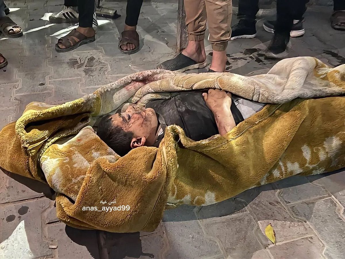 TIMES OF GAZA tweet media