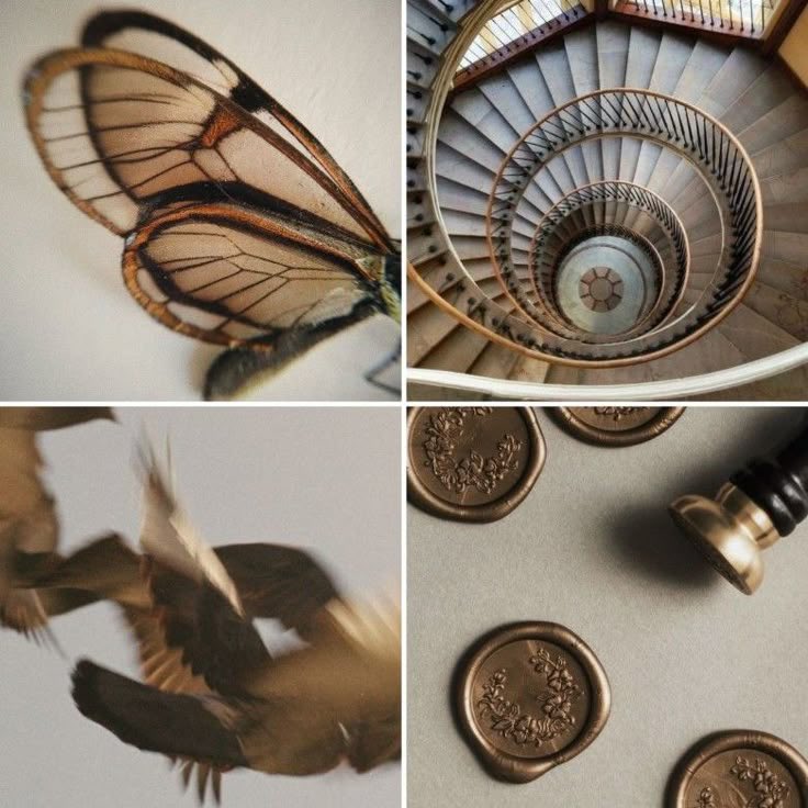 𝖭𝗂𝗇𝗀𝗇𝗂𝗇𝗀. tweet media