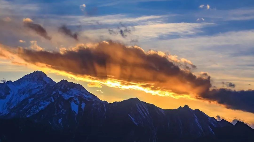 Александр Мешков tweet media