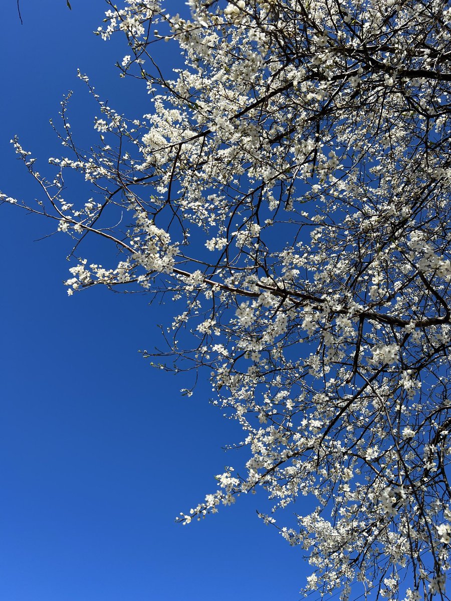 пахнет маем