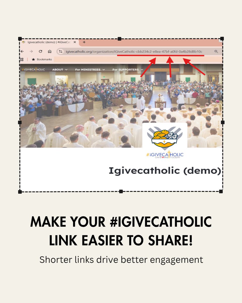 iGiveCatholic tweet media