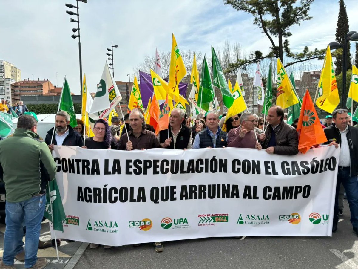 Palencia Invierte tweet media