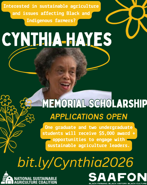 sustainableag's tweet photo. 🔊1 week to go! Apply by May 1 for the Cynthia Hayes Memorial Scholarship, honoring the legacy of a visionary leader by supporting the next generation of Black &amp; Indigenous changemakers in sustainable ag &amp; #foodjustice. Details: https://t.co/0PE1yOhWTX https://t.co/QIP4DwoFGG