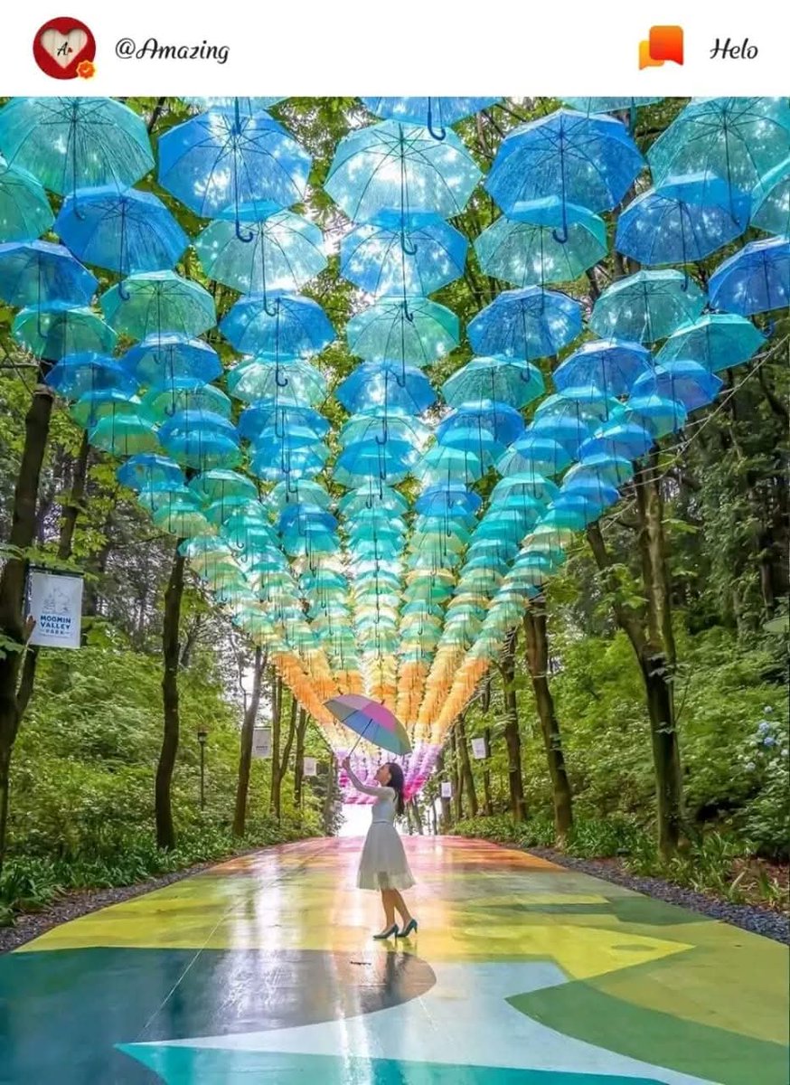 Dinesh Ram मोदी का परिवार tweet media