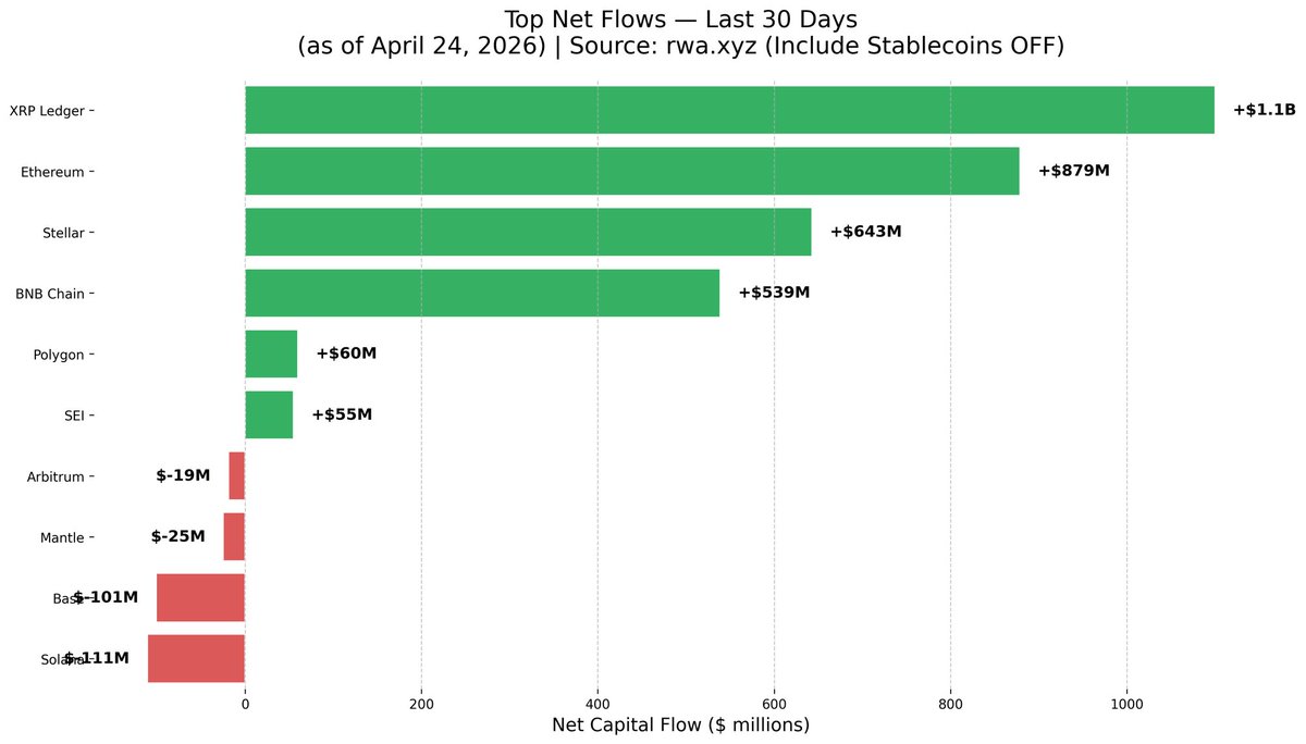 BULLRUNNERS tweet media