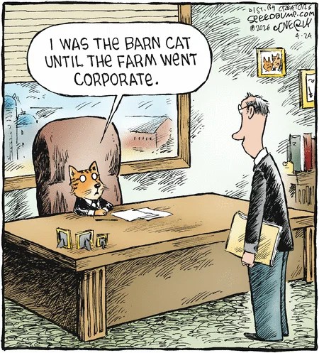 CatmanderBiden's tweet photo. As a former farm cat who became Catmander-In-Chief, I can relate.

[Credit: @speedbumpcomic] https://t.co/QY3UwMQeJX