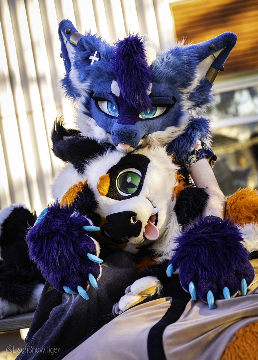 Fugama✨💎 ふがま tweet media