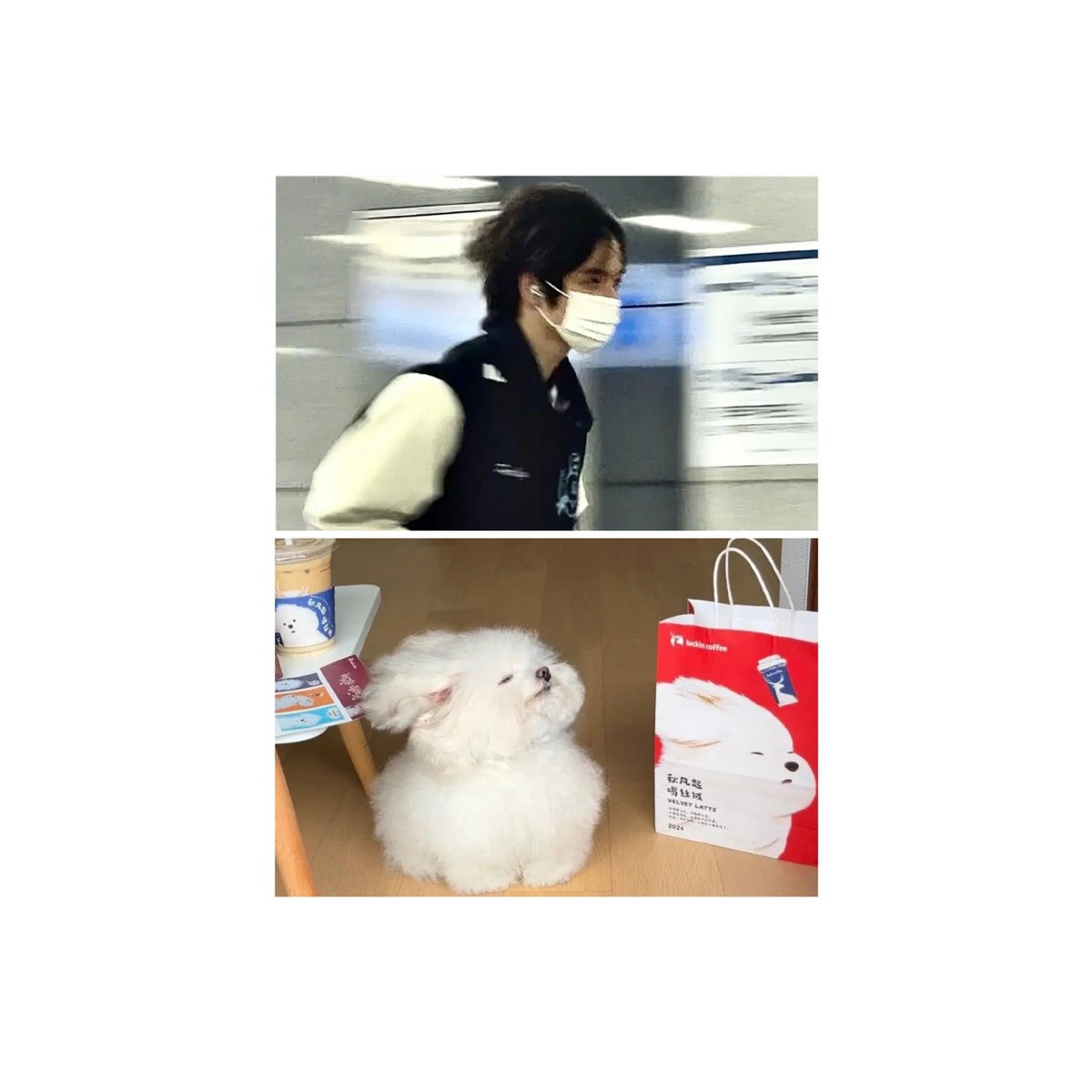 tttttts170913's tweet image. 在这里也发发吧，宝宝是不是很可爱呀
#smtr25
#hamin