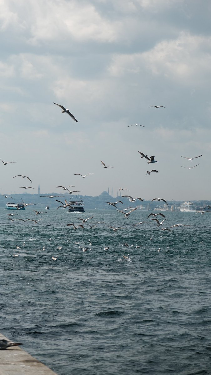 Rahime Gül tweet media