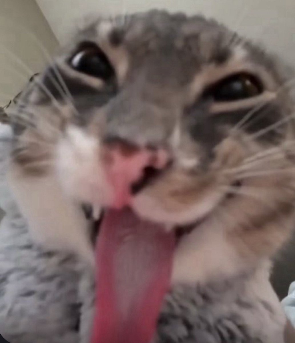 Kaylee_lifts's tweet photo. Need my pussy ate neow! https://t.co/jZKfqqPMyA