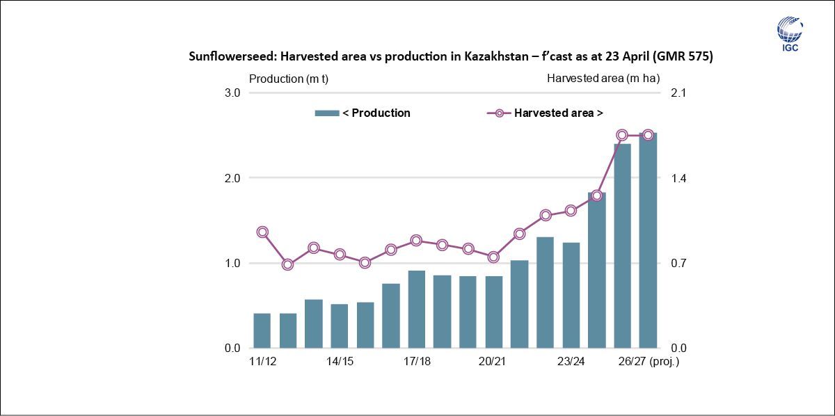 IGCgrains's tweet image. Growing global #demand for #sunflower #products, as well as official efforts to shift farmland toward more #drought-resistant crops, has underpinned steady gains in #Kazakhstan’s #sunflowerseed #acreage over recent years, with #production predicted to reach a peak in 2026/27.