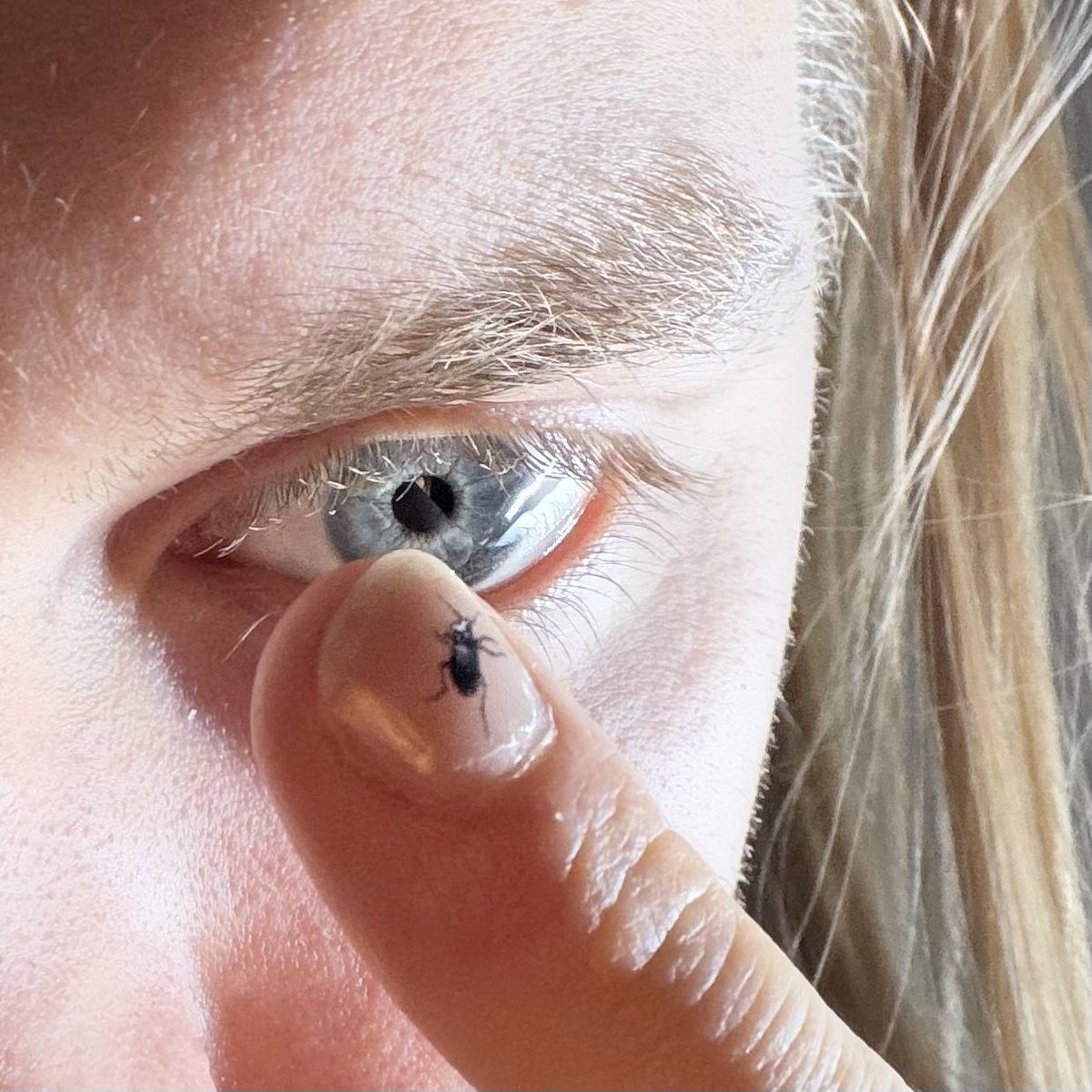 THE SMALL OTHER 𓆣 tweet media