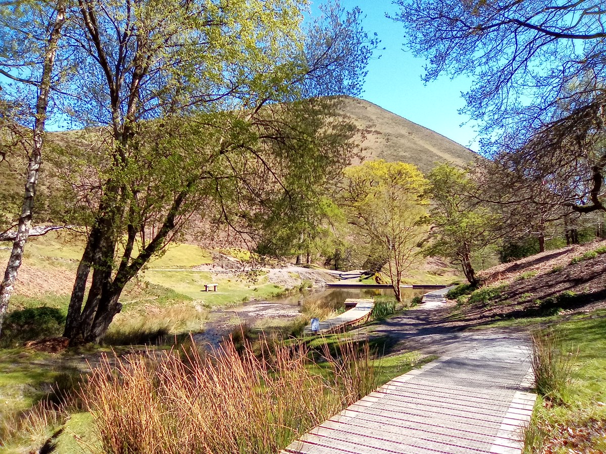 DeniseAnJackson's tweet image. #Shropshire lambs and their Mum on a gorgeous morning in Carding Mill Valley, Church Stretton.