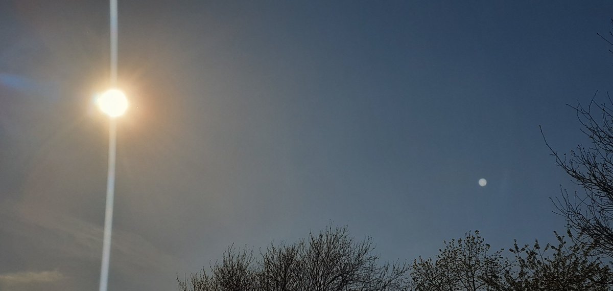 Friday Frequency 💛