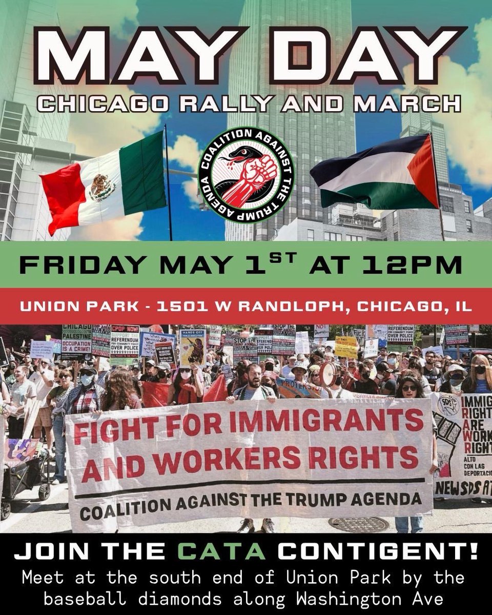 The Chicago Alliance tweet media