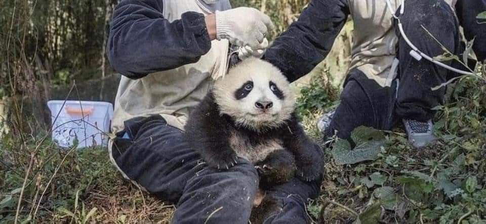 永月弥生 tweet media