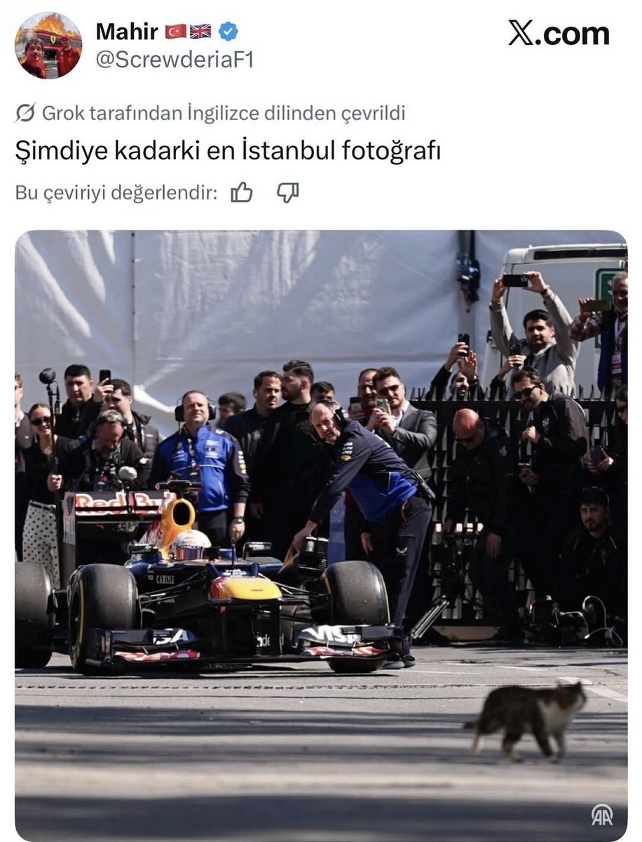 OE hayvan düşmanı başıboş hırtların inadına paylaşıyorum bunları.!