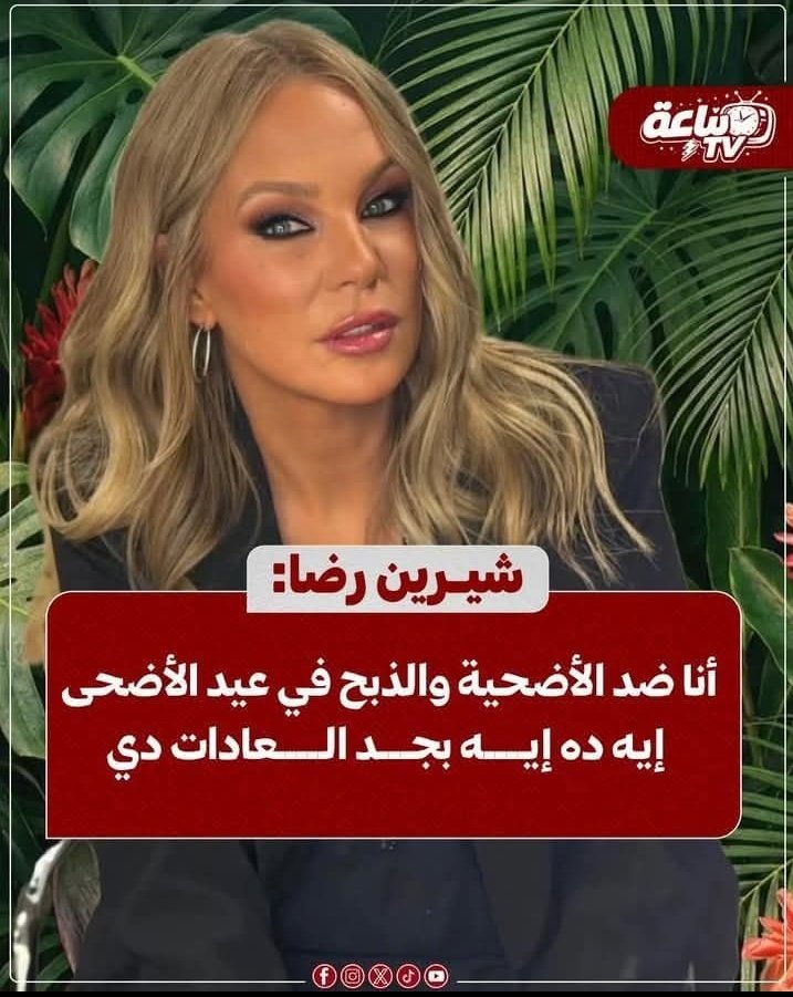 صـ༈ۖ҉ـدى❣️ tweet media