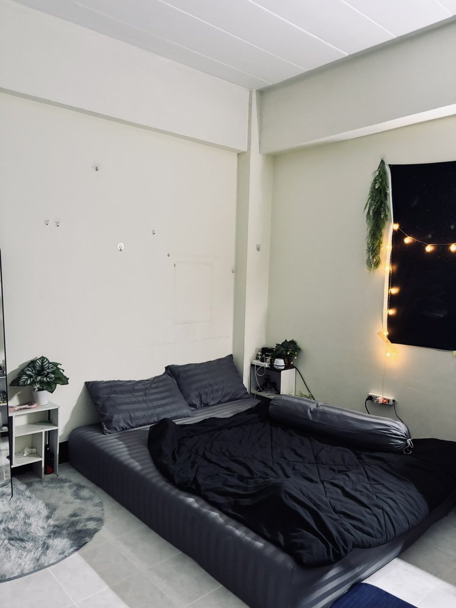 🕷️🕸️🐈‍⬛ tweet media