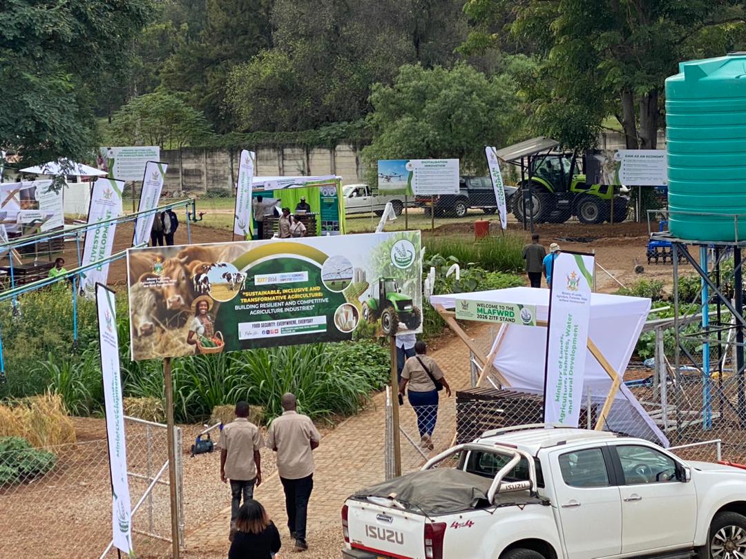 MoLAFWRD_Zim's tweet photo. *Affordable Pivot Irrigation Steals the Show at ZITF for Smallholder Farmers* 
The Agriculture for Rural Development  Director  Mr. Leonard Munamati highlighted a new low-cost pivot irrigation system aimed at making irrigation accessible to small-scale farmers, including A1,Old  resettlement, communal, and those practising Pfumvudza/Intwasa concept. He said the compact, affordable, and easy-to-use pivot requires minimal capital and can help farmers increase production and productivity, ultimately boosting income and enabling value addition from higher yields. The Ministry is showcasing the technology to encourage smallholder farmers to adopt it as a practical way to move beyond rain-fed agriculture.@HeraldZimbabwe
@obertjiri
@AgritexS
@MakaIrrigation
@ZBCNewsonline
@zfu_official
@radio_zimbabwe
@StarfmZimbabwe
#ZITF2026
#SmallScaleFarming
#PivotIrrigation
#EmpoweringFarmers
#FarmProdyctivity